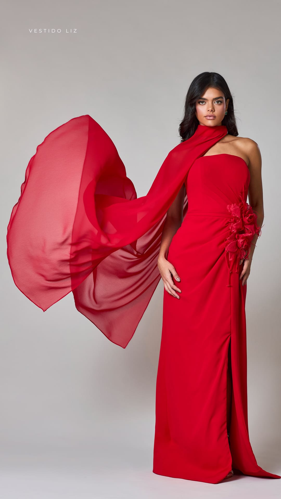 VESTIDO LIZ 